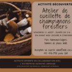 Atelier de cueillette de champignons forestiers (2)