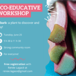 Atelier éco-éducatif – Rhubarbe (1)