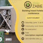 Confection d’hôtels à insectes et conférence (3)