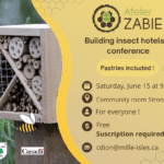 Confection d’hôtels à insectes et conférence (5)