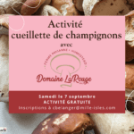 Activité inoculation champignons (1)