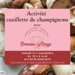 Activité inoculation champignons (3)